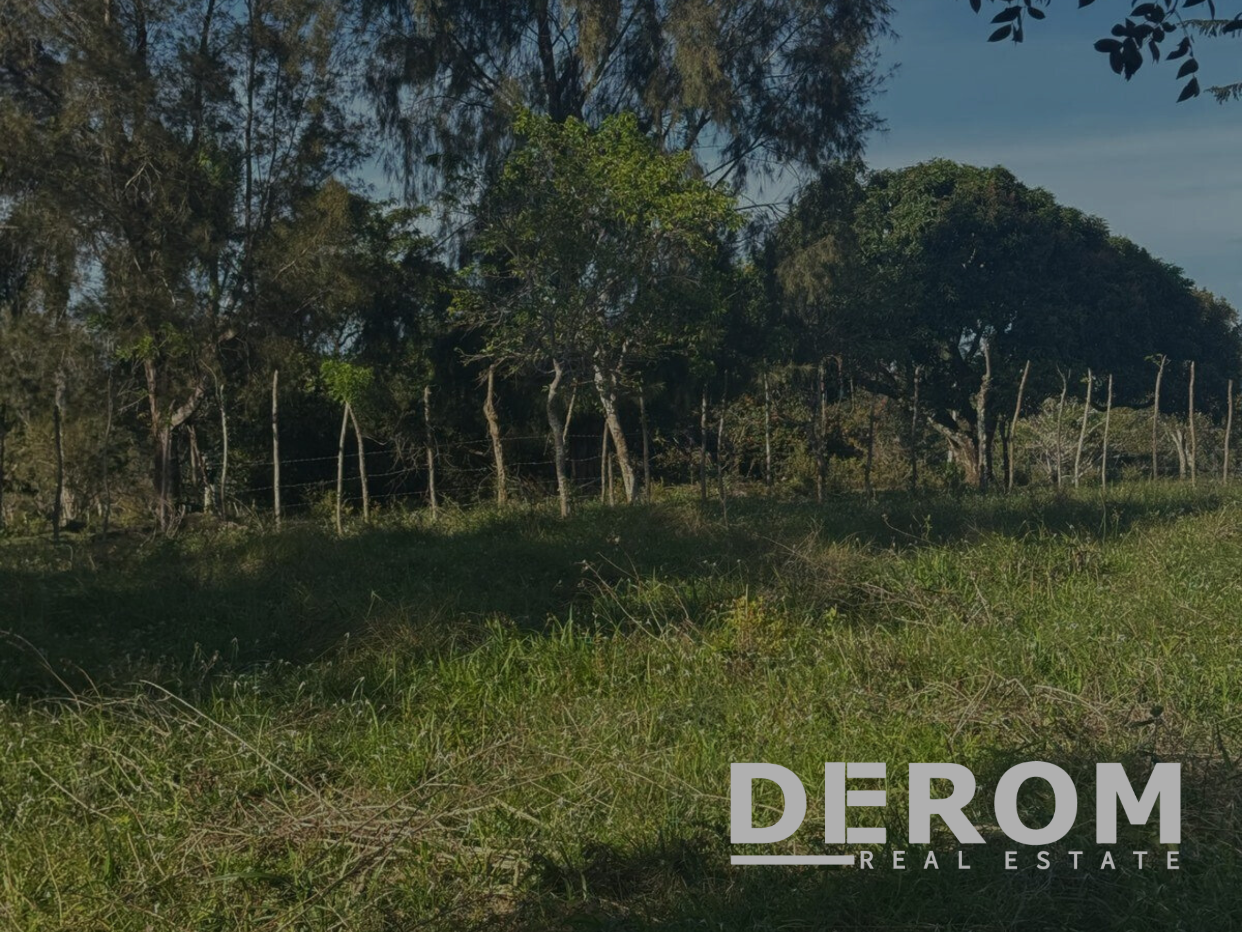  SOLAR EN VENTA EN EL COROZO CUPEY, PUERTO PLATA 